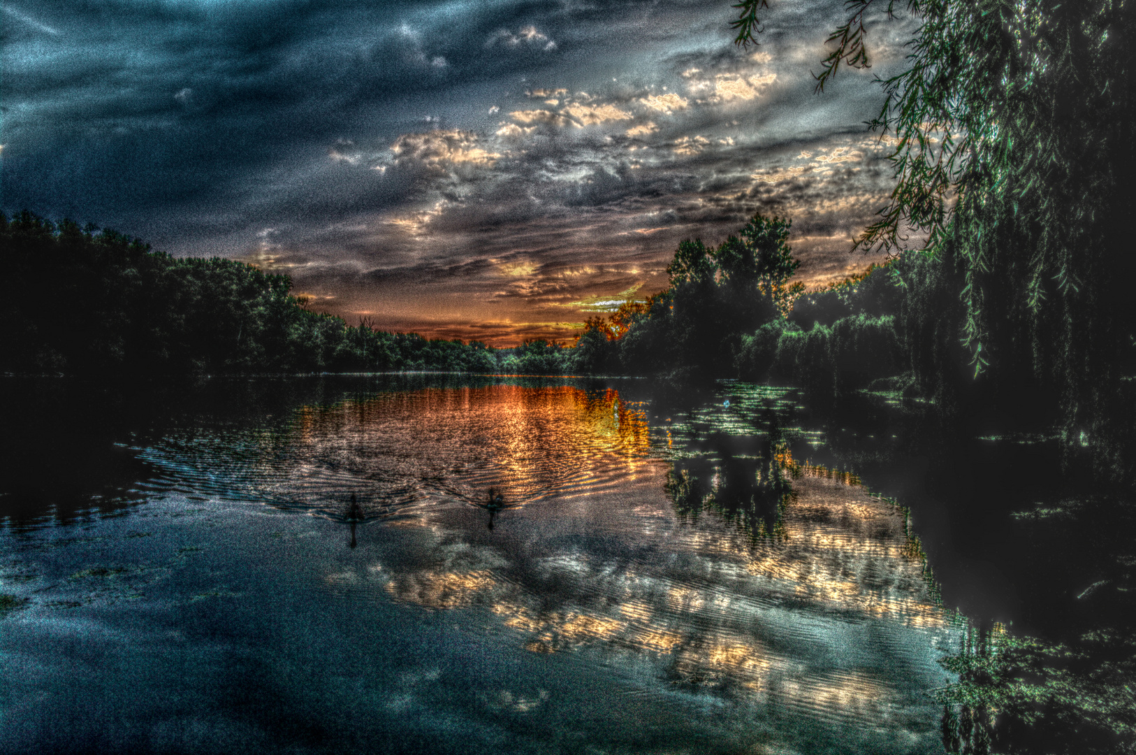 See in den Rheinauen bei Linkenheim (Karlsruhe) - HDR