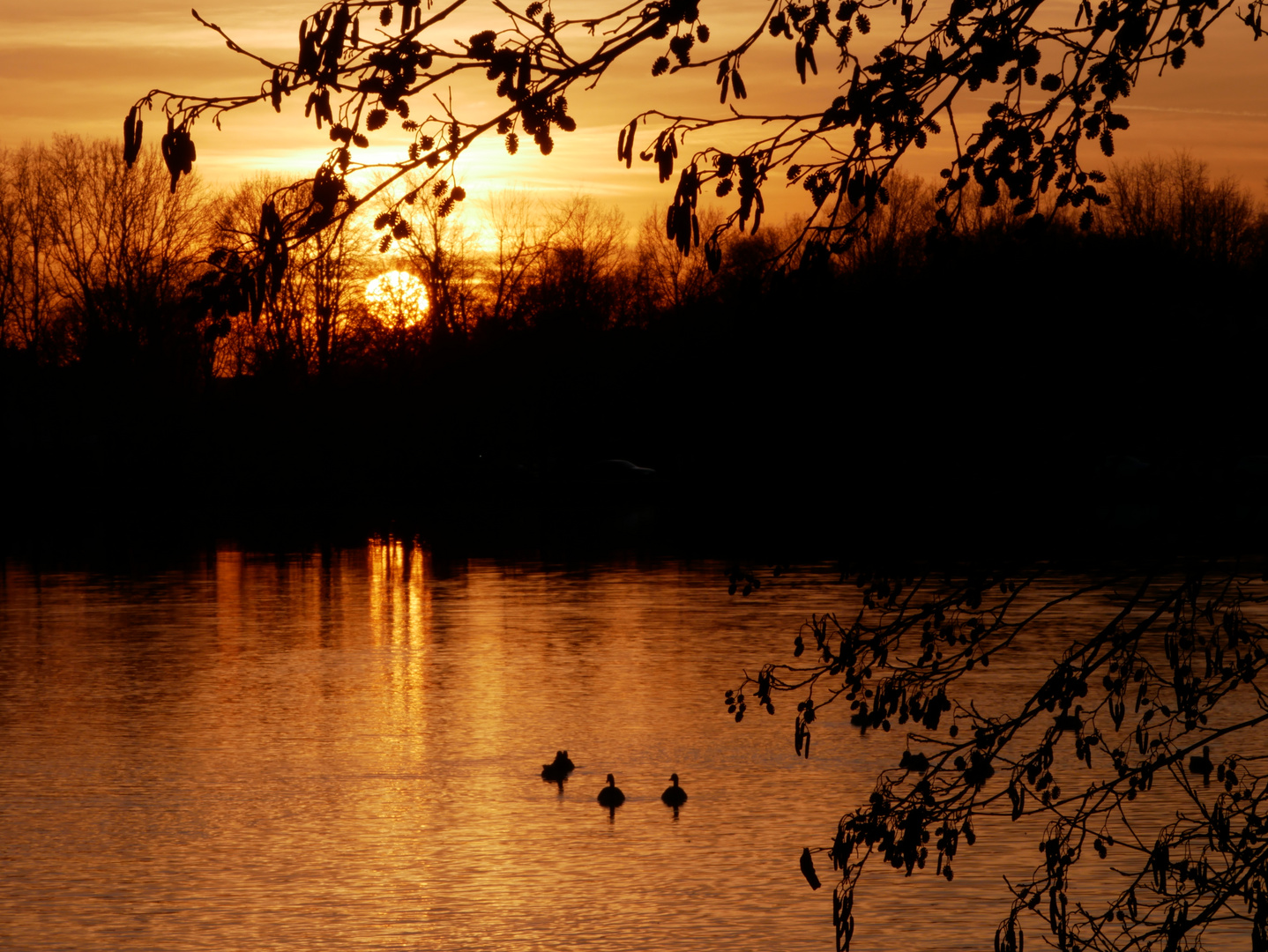 See in der Abendsonne