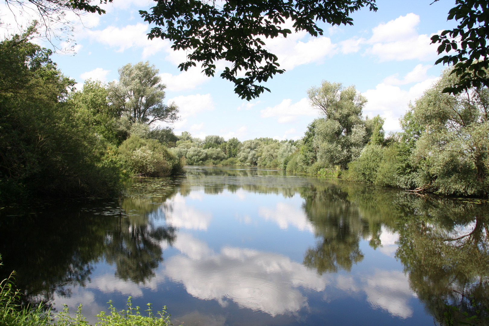 See in der Leinemasch - Laatzen