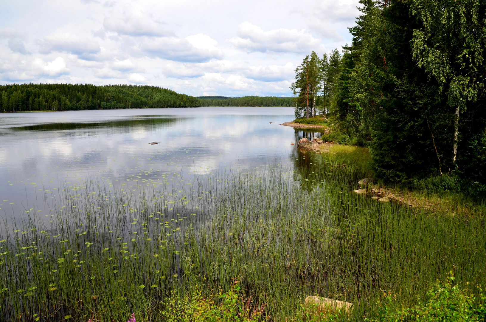 See in Mittelschweden - ohne Mücken, ehrlich!