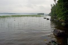 See in Muuratsalo - Finnland