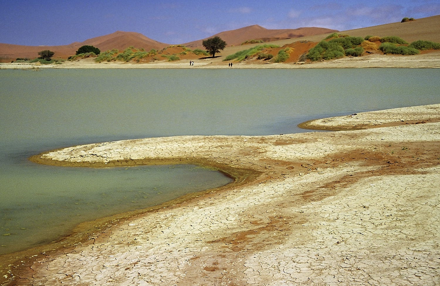 See in Sossusvlei