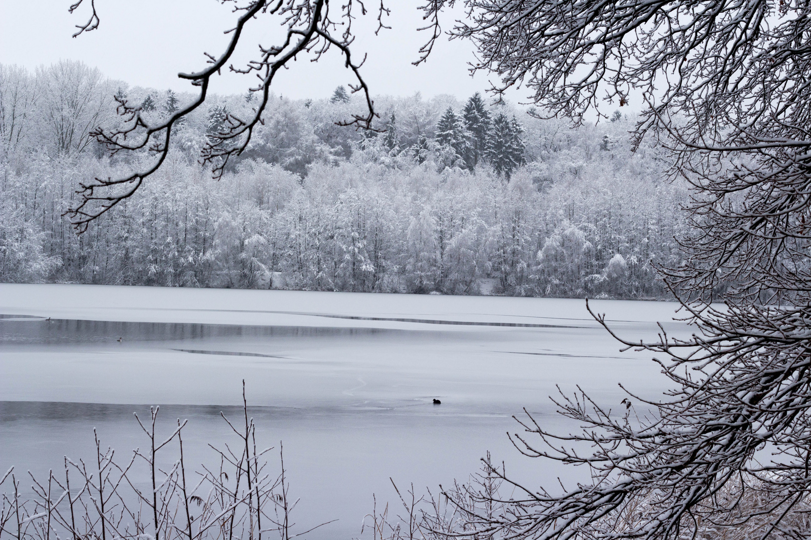 See inmitten einer Schneelandschaft