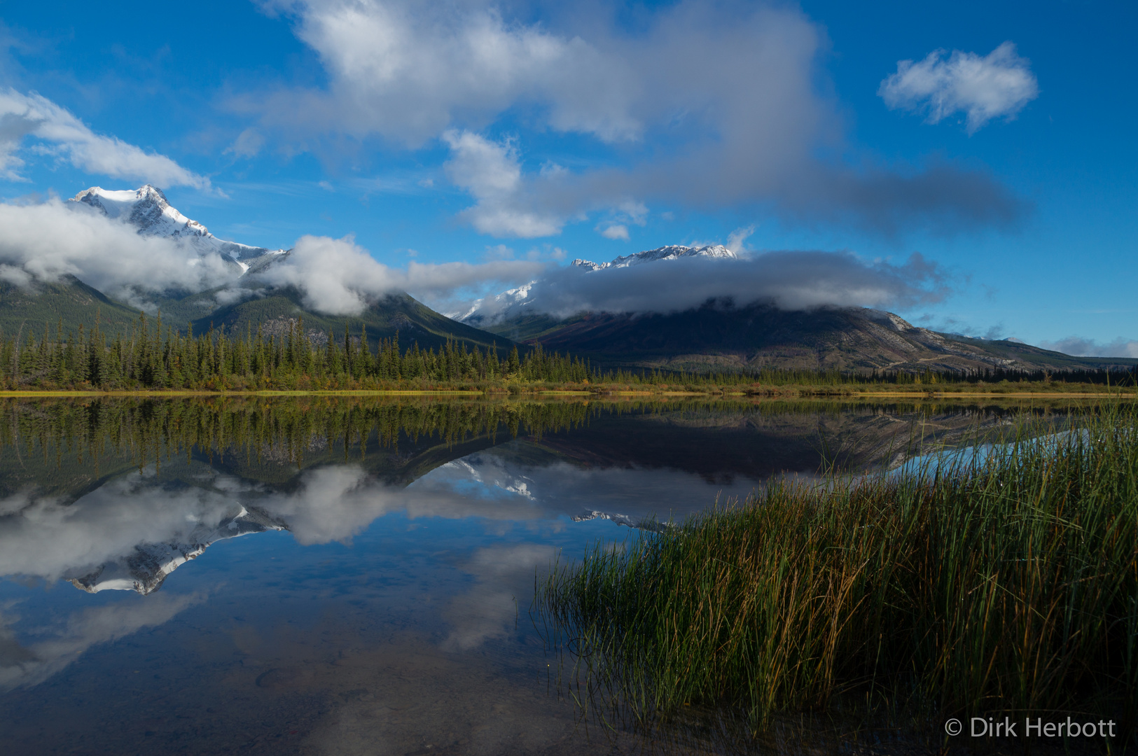 See Jasper National Park