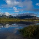 See Jasper National Park