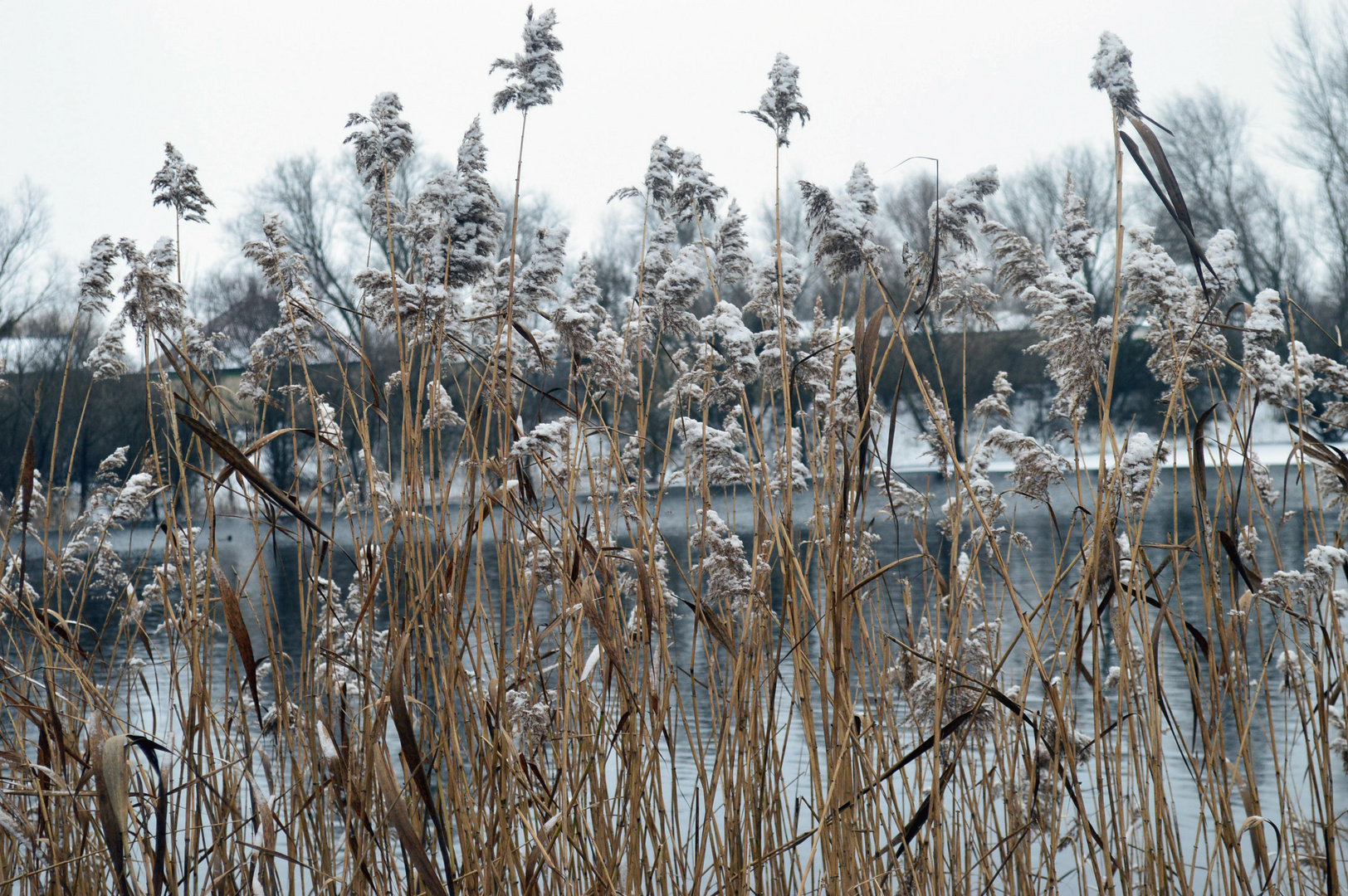 See Landschaft im Winter