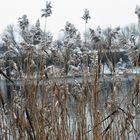 See Landschaft im Winter