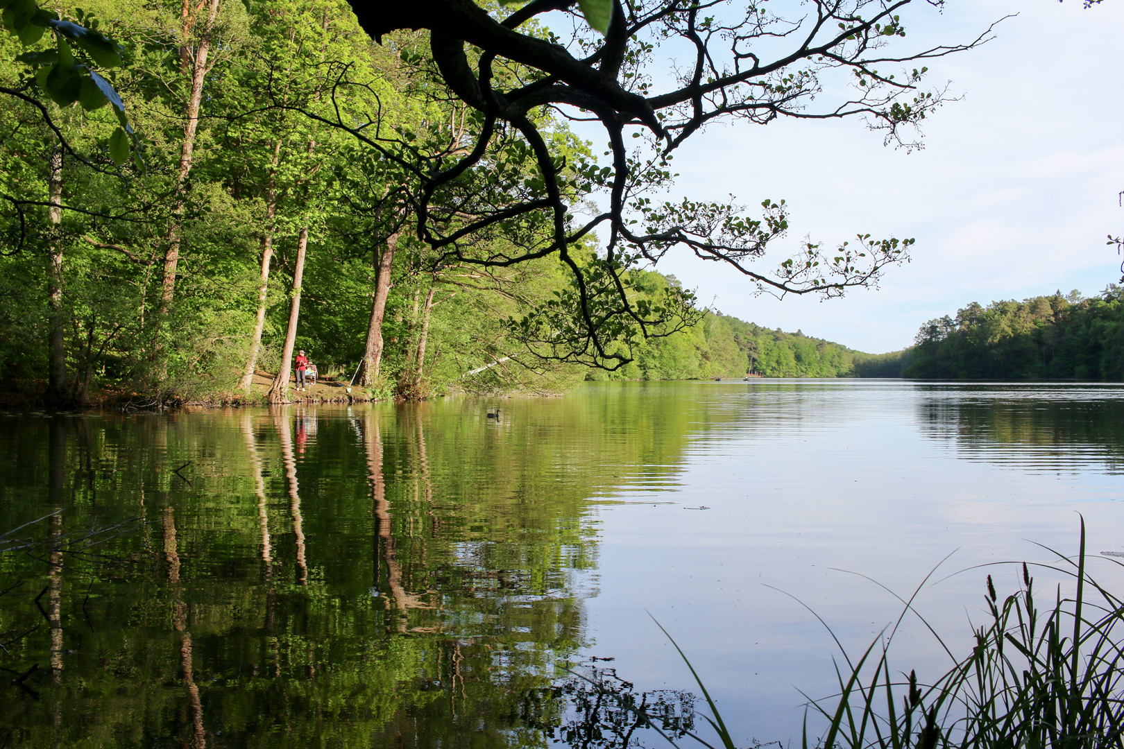 See mit Angler und Ente Foto & Bild landschaft, bach, fluss & see