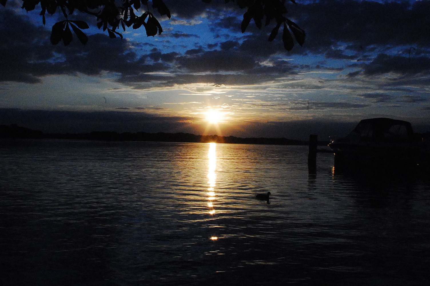 See mit Enten am Abend