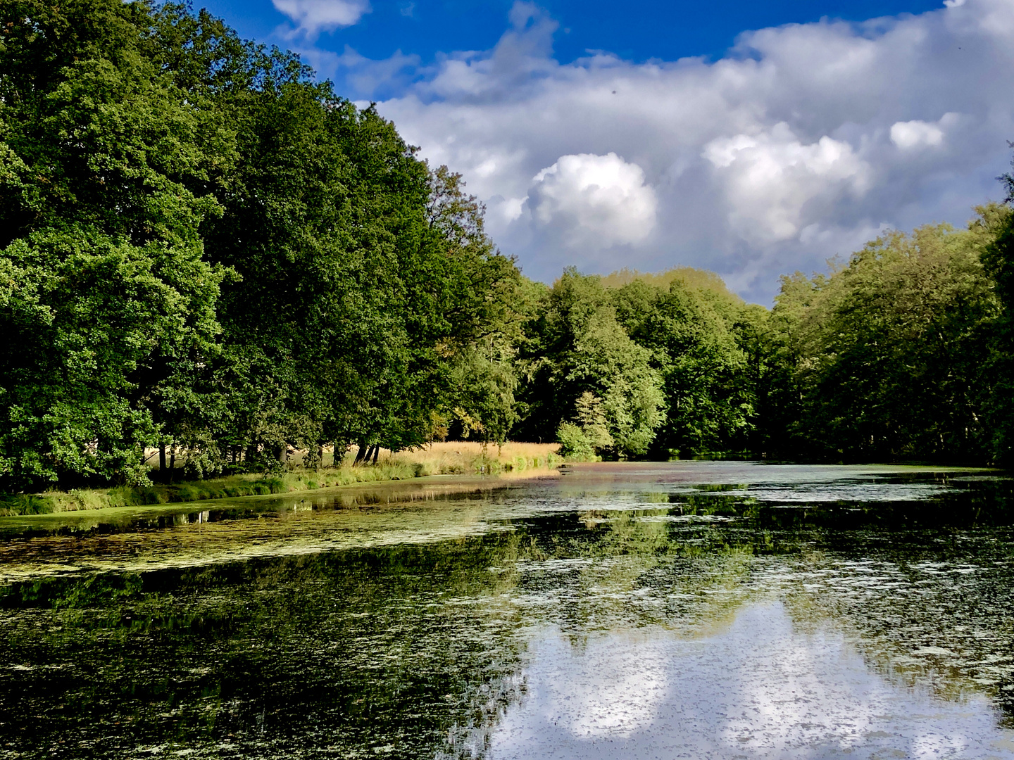 See mit Grün