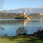 See mit Insel in Bled