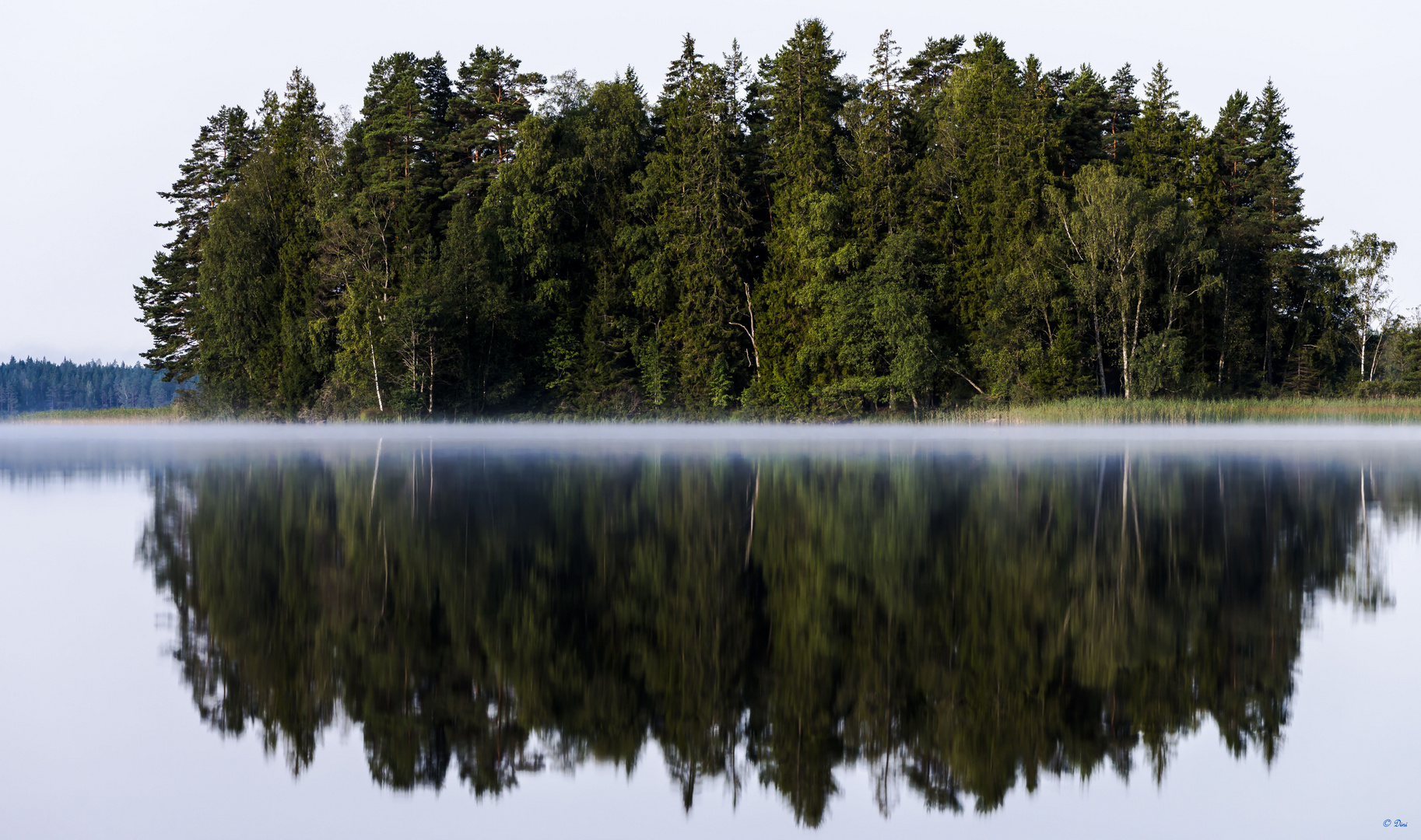 See mit Nebel und Spiegelung