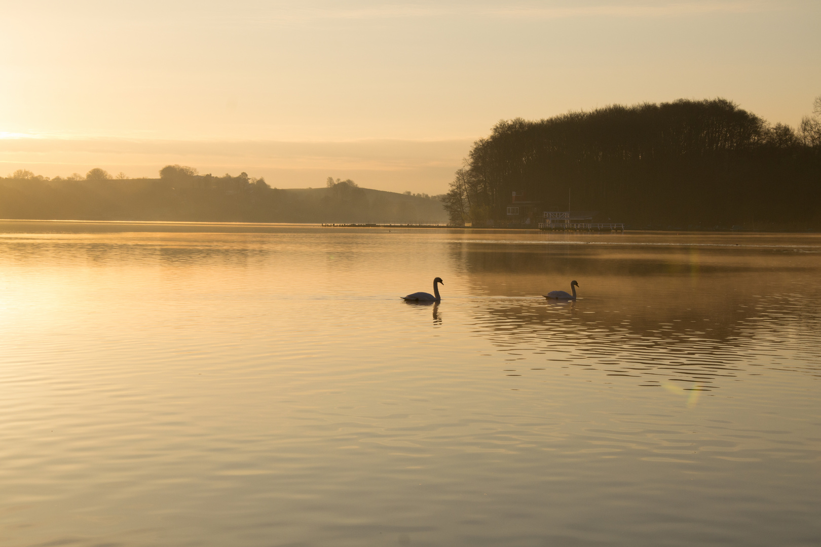 See mit Schwänen Foto & Bild landschaft, bach, fluss & see, see