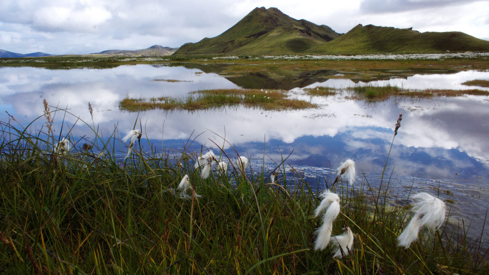 See mit Wollgras im Hochland Islands
