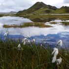 See mit Wollgras im Hochland Islands