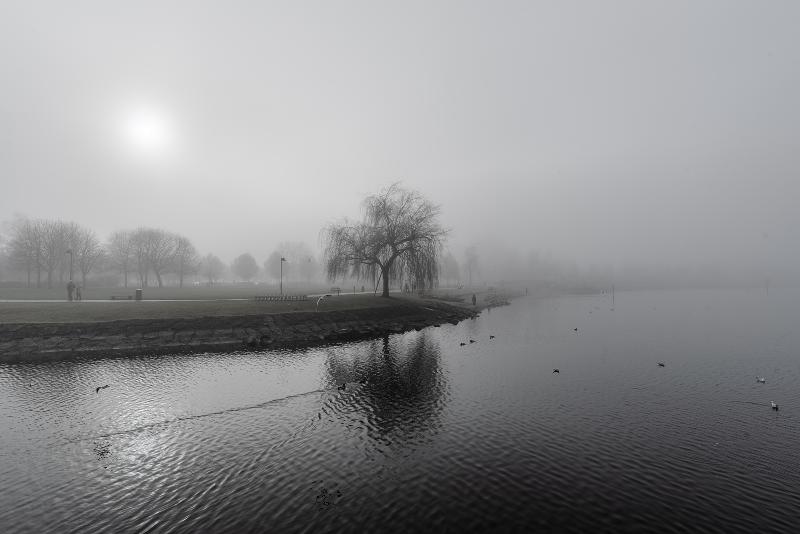 See & Nebel