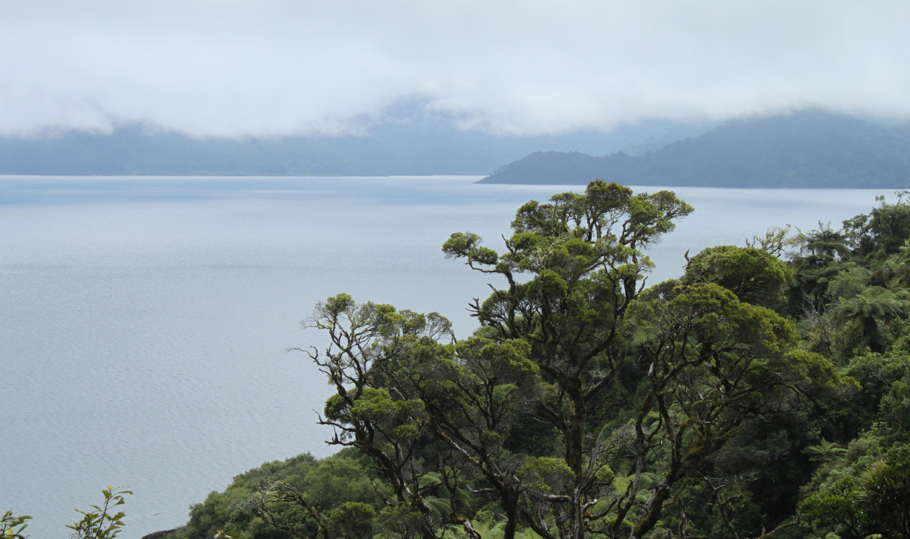 See, Nordinsel, Neuseeland