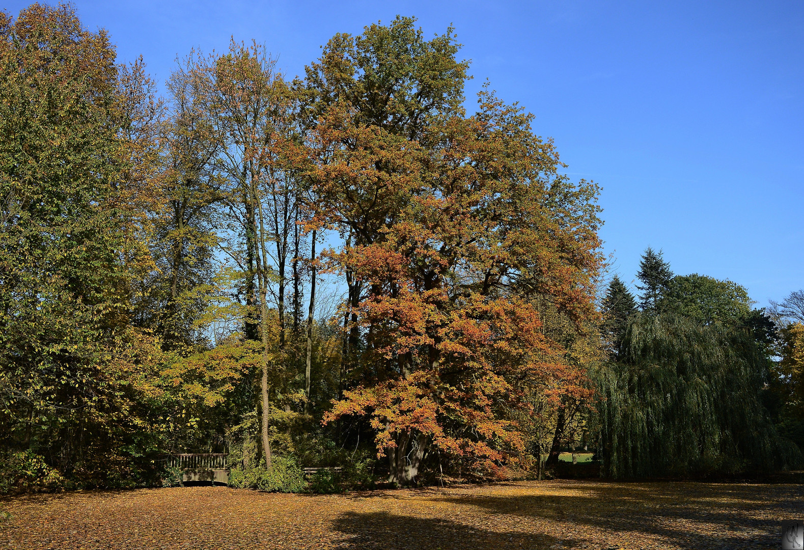 See Paffendorfer Schlosspark