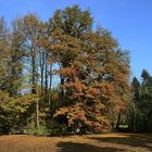 See Paffendorfer Schlosspark