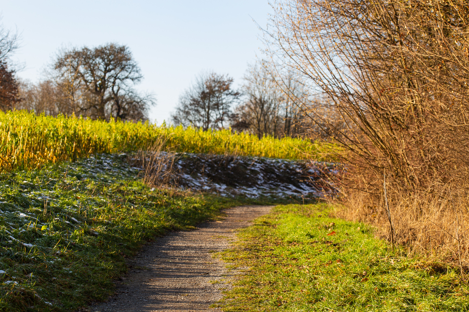 See-Rundgang