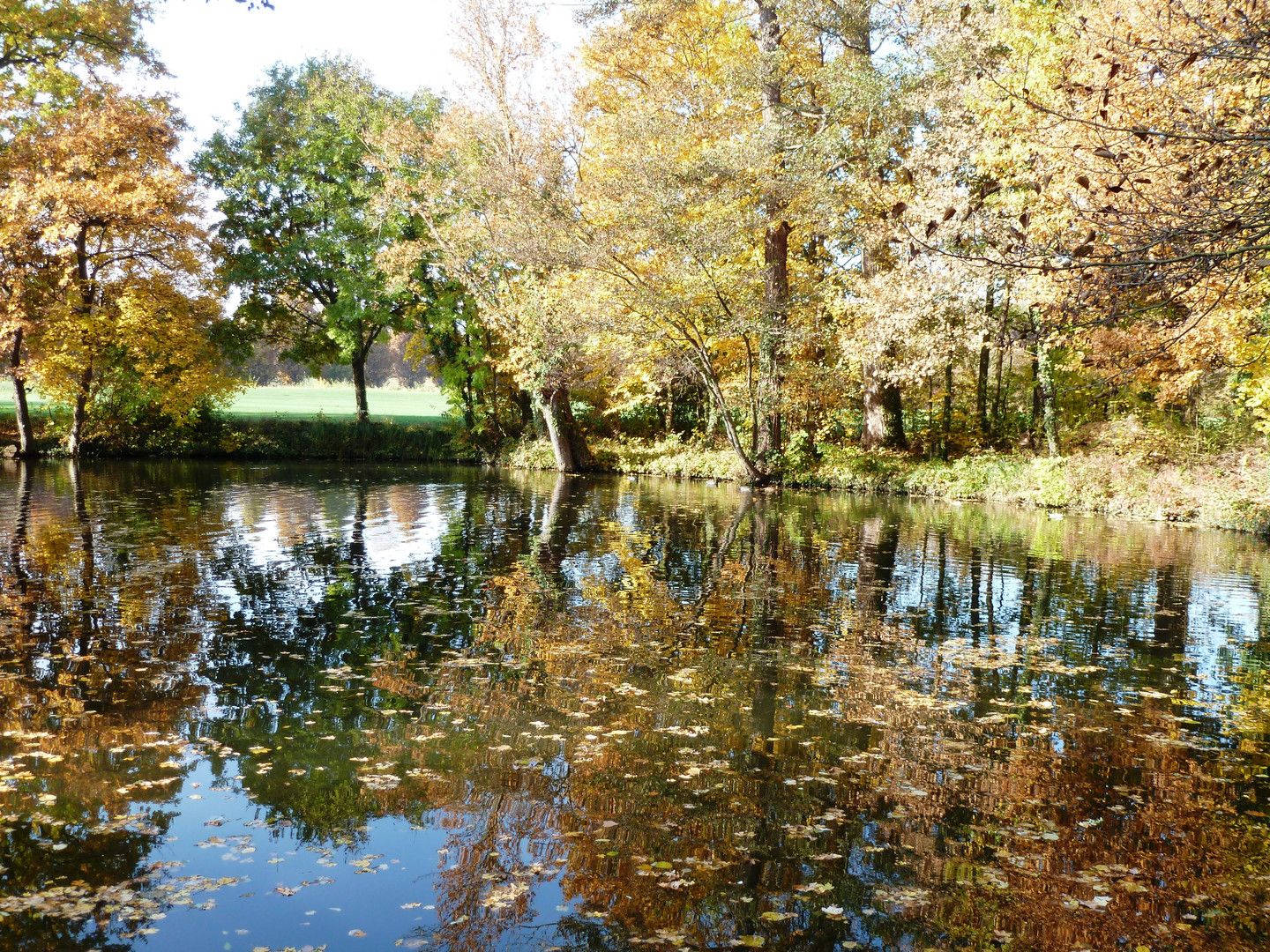 See Schloß Monrepo Ludwigsburg