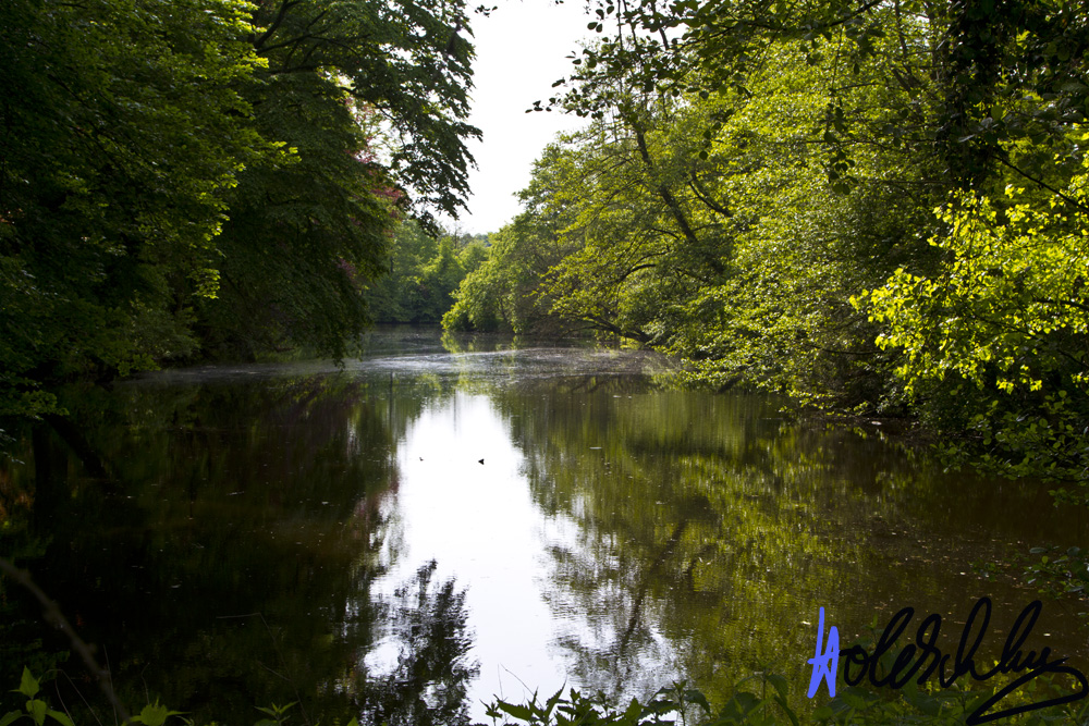 See Schloß Pröbsting