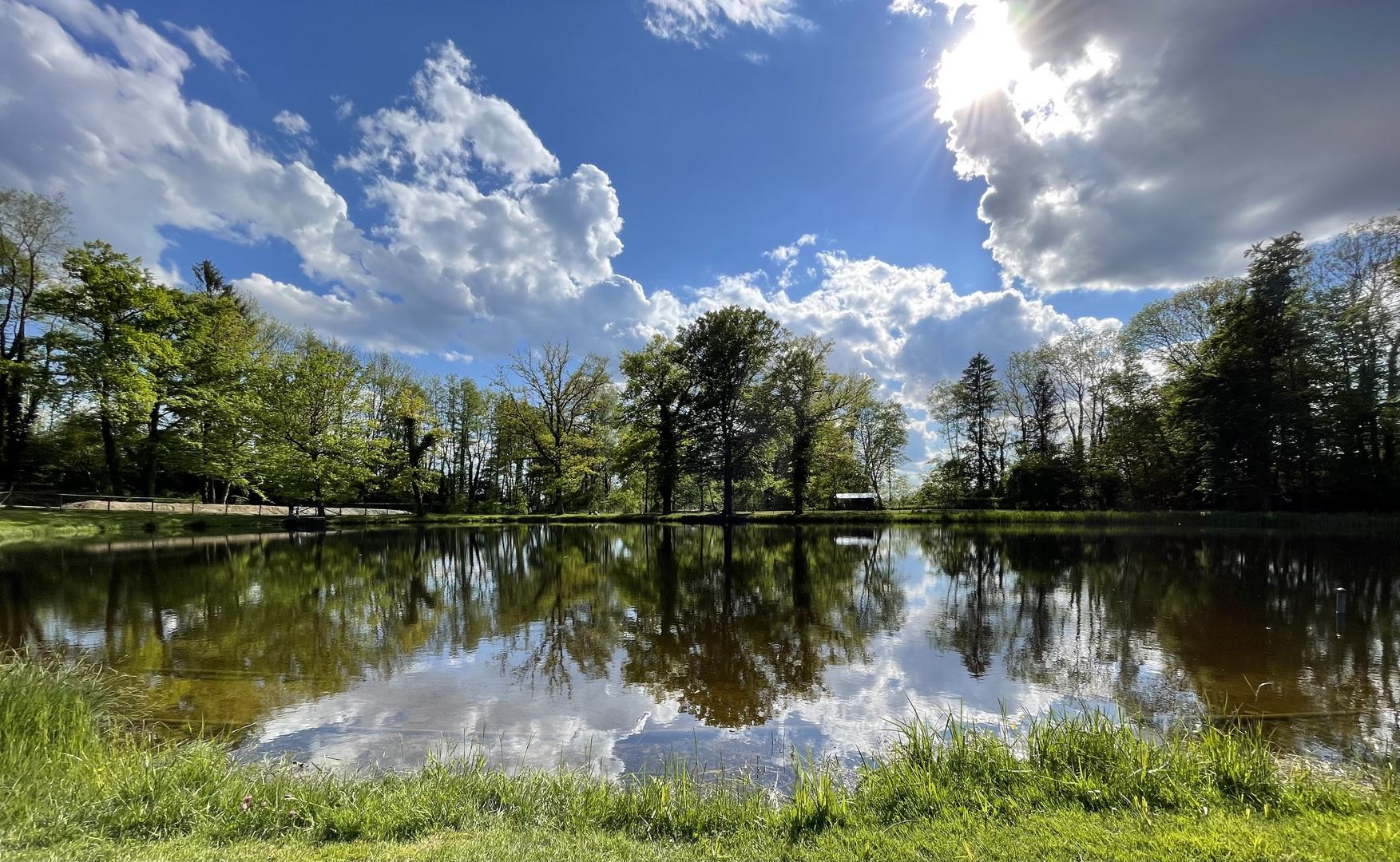 See spiegelt Bäume