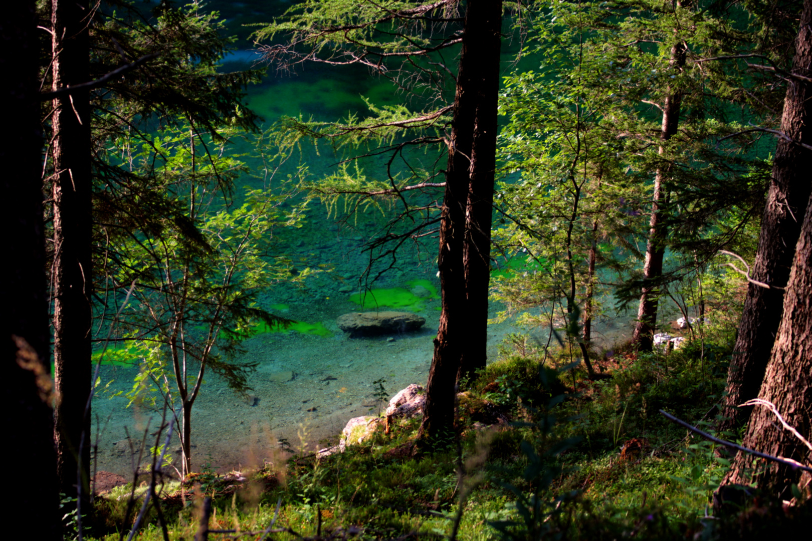 See-Steig Tragöß (Grüner See) Steiermark Österreich