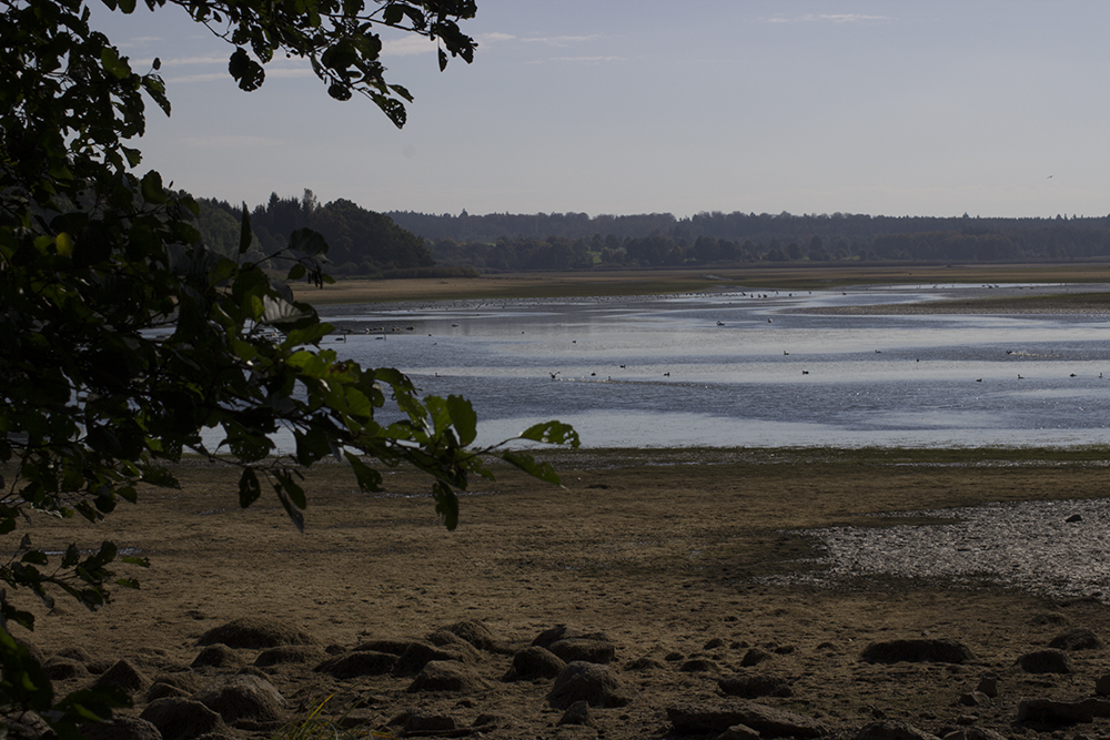 See, Stille, Ruhe, Natur, Lanschaft