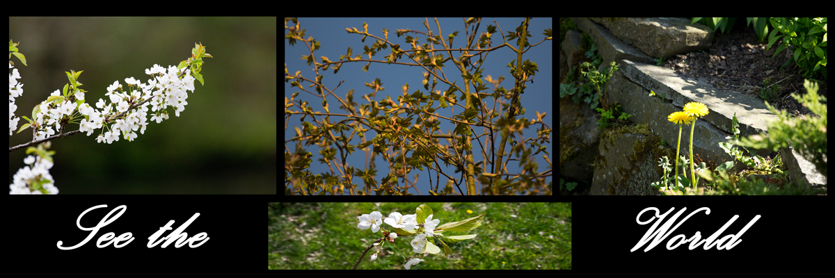 See the World - Gartenwelt