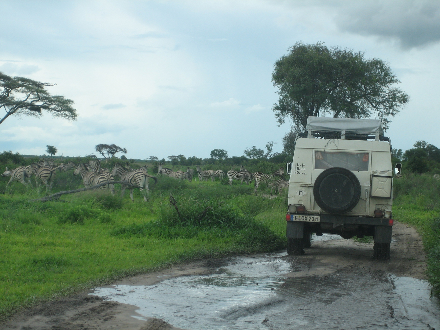 SEE THE WORLD - Habari Safari