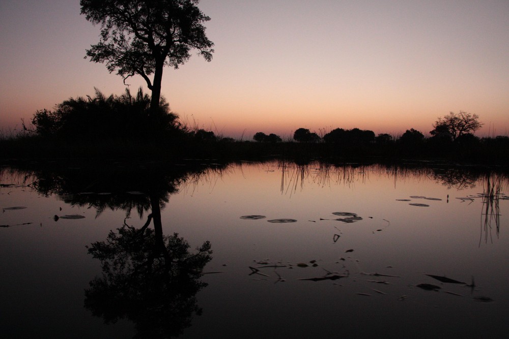 SEE THE WORLD - Okavango Delta
