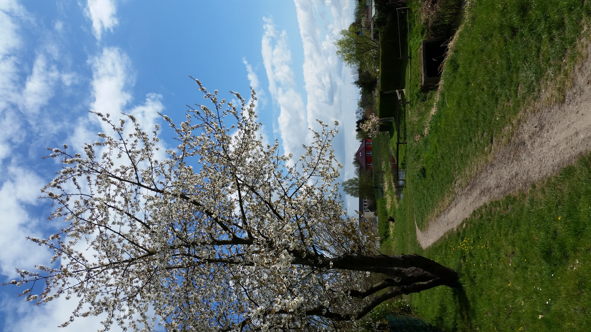 see-town Altmark im frühling