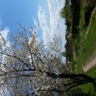 see-town Altmark im frühling