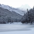 See und Bäume im Winterkleid