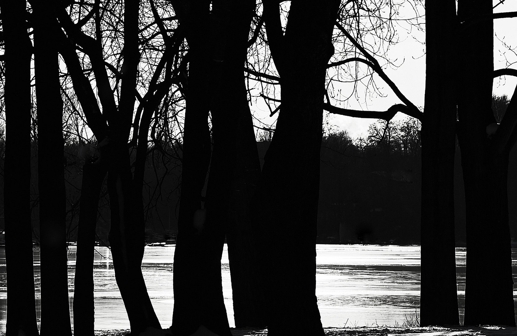 See und Baum , macht viel Raum .