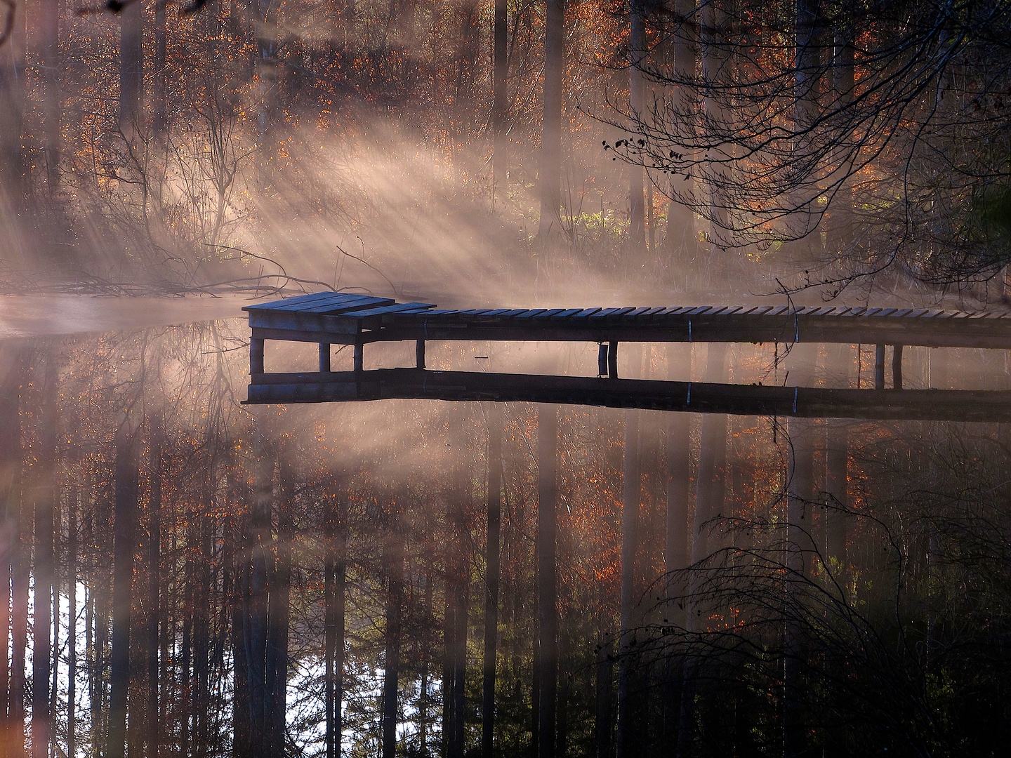 See und Nebel / Lake and Fog