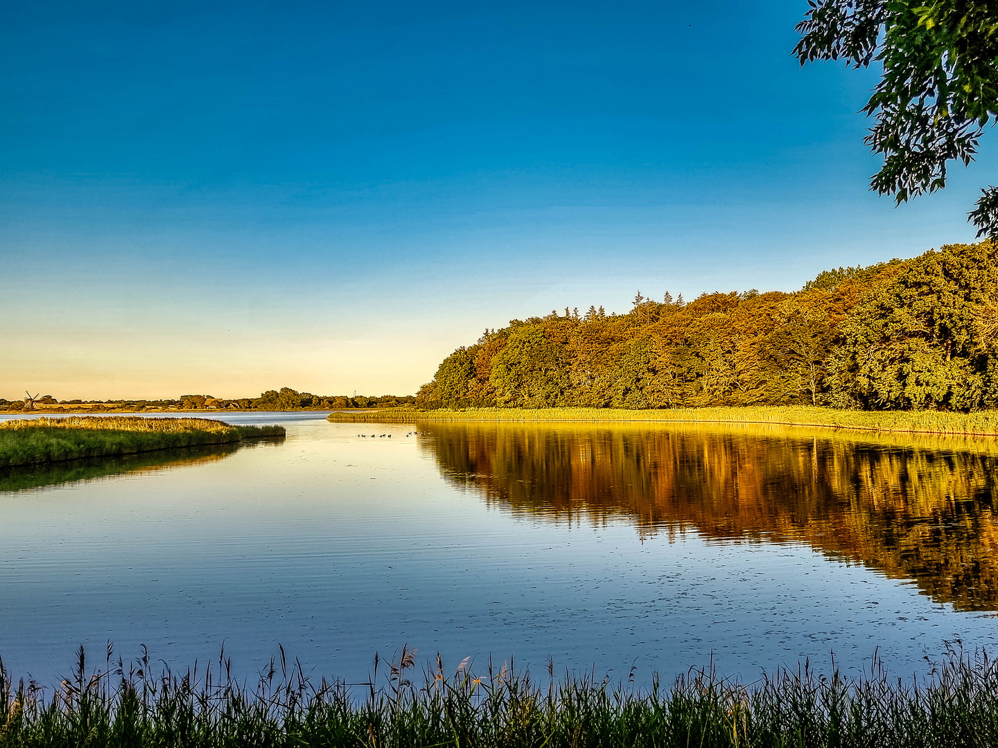 See und Wald in der Abendsonne