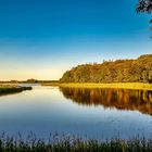 See und Wald in der Abendsonne