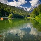 See, Wald, Berge, Wolken, Ente, Karpfen