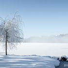 See Winterlandschaft