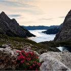 See-Wolken-Blumen-Berge