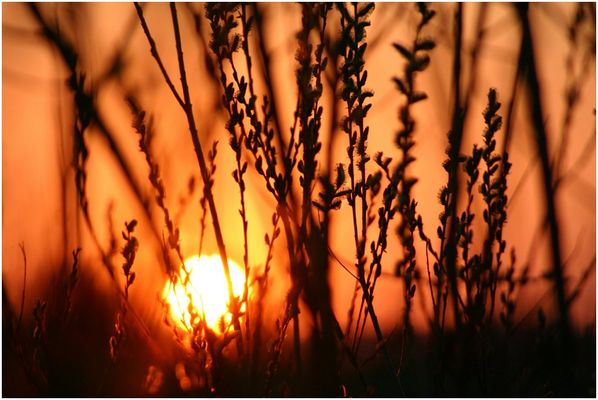 see you again next morning