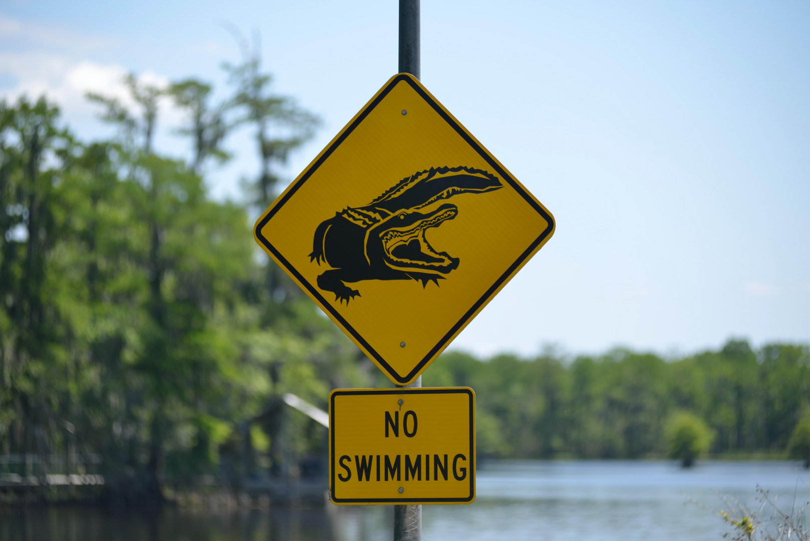 See You Later Alligator Foto Bild Quatsch Fun Und Ratselecke Witzige Schilder Traffic Signs Bilder Auf Fotocommunity
