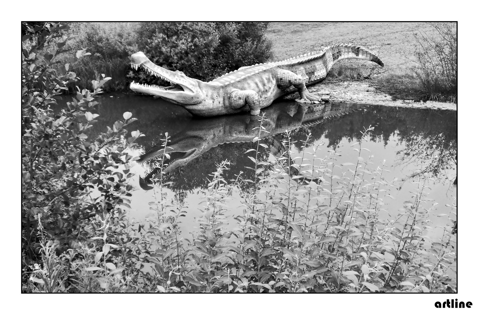 "See You Later, Alligator"  Spiegeltag