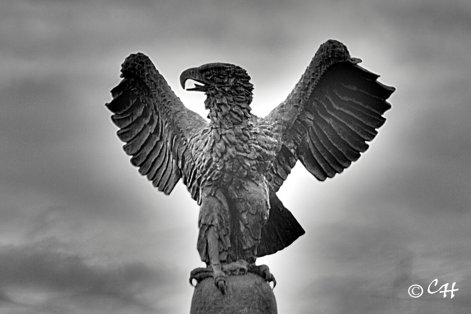 Seeadler auf dem U-Boot Ehrenmal in Kiel Möltenort