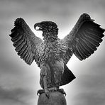 Seeadler auf dem U-Boot Ehrenmal in Kiel Möltenort