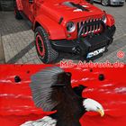 Seeadler auf Jeep