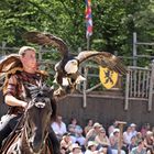 Seeadler beim Abflug