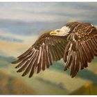 Seeadler